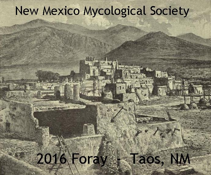 Taos Pueblo - sketch 
from 1893